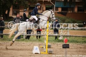 As_Poney_1_CSO_12h35_044.jpg