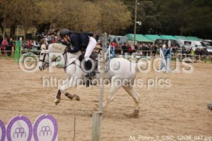 As_Poney_1_CSO_12h36_047.jpg
