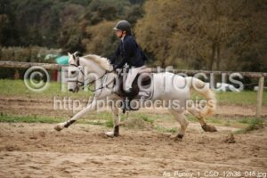 As_Poney_1_CSO_12h36_048.jpg
