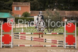 As_Poney_1_CSO_12h36_051.jpg