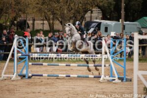 As_Poney_1_CSO_12h37_054.jpg