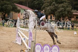 As_Poney_1_CSO_12h37_055.jpg