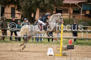 As_Poney_1_CSO_12h37_056.jpg