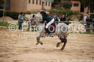 As_Poney_1_CSO_12h37_059.jpg