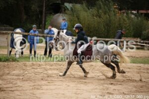As_Poney_1_CSO_12h37_060.jpg