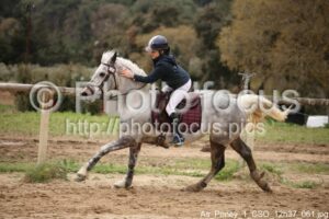 As_Poney_1_CSO_12h37_061.jpg
