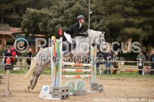 As_Poney_1_CSO_12h39_067.jpg