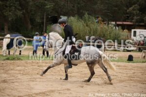 As_Poney_1_CSO_12h40_073.jpg