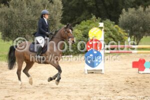 As_Poney_1_CSO_12h40_177.jpg