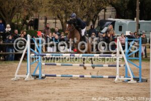 As_Poney_1_CSO_12h41_078.jpg