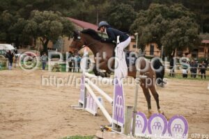 As_Poney_1_CSO_12h41_079.jpg