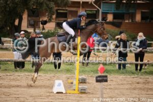 As_Poney_1_CSO_12h42_080.jpg