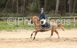 As_Poney_1_CSO_12h42_180.jpg