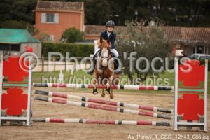 As_Poney_1_CSO_12h43_086.jpg