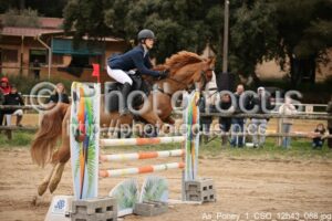 As_Poney_1_CSO_12h43_088.jpg