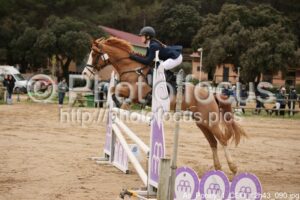 As_Poney_1_CSO_12h43_090.jpg