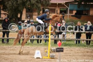 As_Poney_1_CSO_12h43_091.jpg