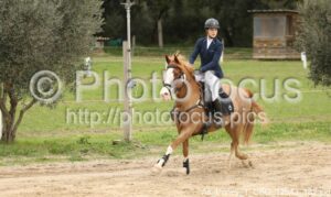 As_Poney_1_CSO_12h43_182.jpg