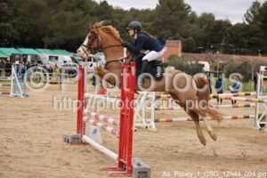 As_Poney_1_CSO_12h44_094.jpg
