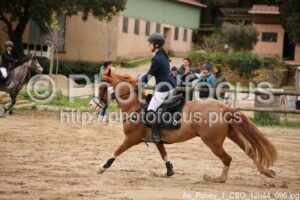 As_Poney_1_CSO_12h44_095.jpg