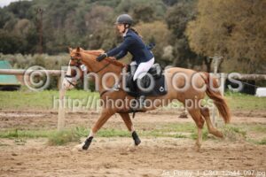 As_Poney_1_CSO_12h44_097.jpg