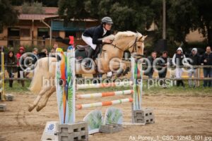 As_Poney_1_CSO_12h45_101.jpg