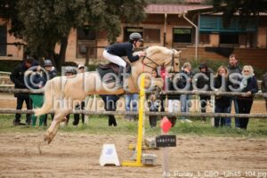 As_Poney_1_CSO_12h45_104.jpg