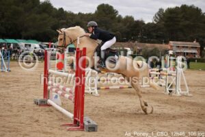 As_Poney_1_CSO_12h46_106.jpg