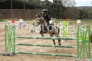 As_Poney_1_CSO_12h47_190.jpg
