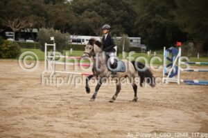 As_Poney_1_CSO_12h48_117.jpg