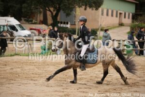 As_Poney_1_CSO_12h48_119.jpg