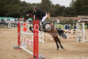 As_Poney_1_CSO_12h50_129.jpg