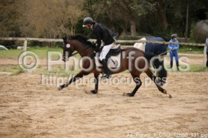As_Poney_1_CSO_12h50_131.jpg