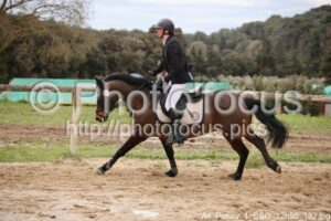 As_Poney_1_CSO_12h50_132.jpg
