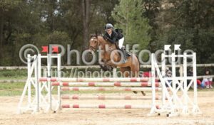 As_Poney_1_CSO_12h50_195.jpg