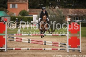 As_Poney_1_CSO_12h51_136.jpg