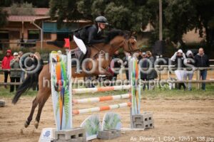 As_Poney_1_CSO_12h51_138.jpg
