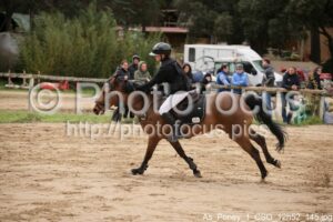 As_Poney_1_CSO_12h52_145.jpg