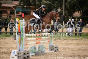 As_Poney_1_CSO_12h53_151.jpg