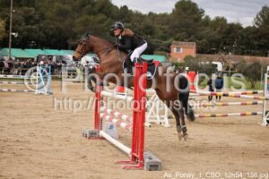 As_Poney_1_CSO_12h54_156.jpg