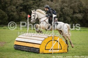 As_Poney_1_Cross_13h02_004.jpg