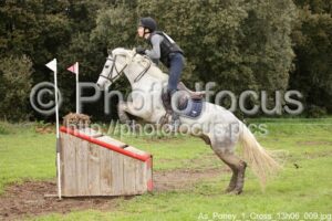 As_Poney_1_Cross_13h06_009.jpg
