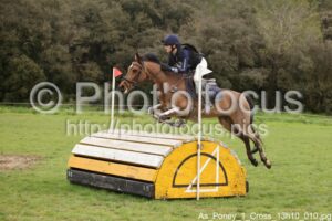 As_Poney_1_Cross_13h10_010.jpg