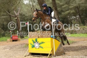 As_Poney_1_Cross_13h12_079.jpg