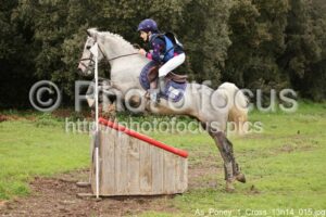As_Poney_1_Cross_13h14_015.jpg