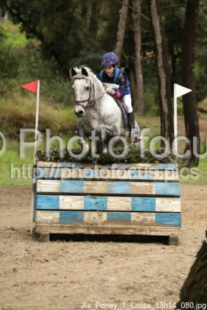 As_Poney_1_Cross_13h14_080.jpg