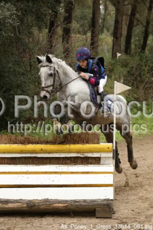 As_Poney_1_Cross_13h14_081.jpg