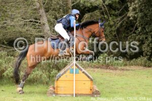 As_Poney_1_Cross_13h16_018.jpg