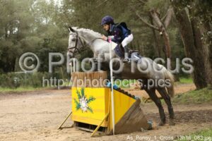 As_Poney_1_Cross_13h16_083.jpg