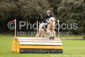 As_Poney_1_Cross_13h18_019.jpg